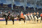 Cavalry - 00277